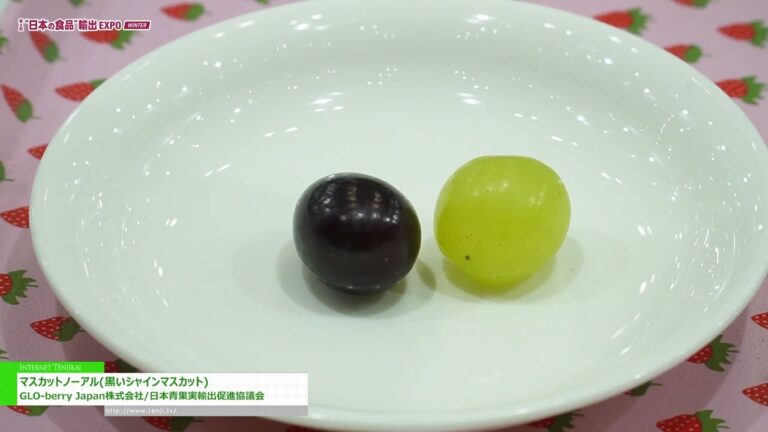 [SALON DE L'EXPORTATION "JAPAN'S FOOD" HIVER 2024] Muscat Noal (Muscat Black Shine) - GLO-berry Japon, Inc.